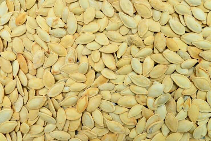 تصویر 1 از قیمت خرید تخمه کدو خام + فروش ویژه